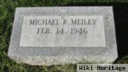 Michael R Meiley