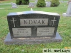 Andrew Emil Novak