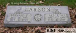 Alice Anna Kraft Larson