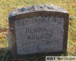 Alvina J. Briggs Nourse