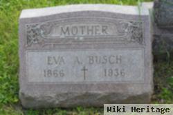 Eva A Busch