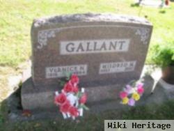 Vernice N Gallant