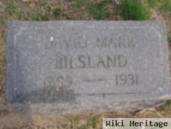 David Mark Bilsland