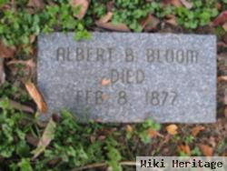 Albert B Bloom