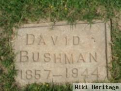 David Bushman