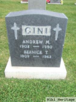 Andrew M Gini