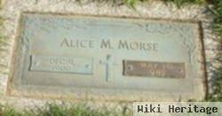 Alice M Morse