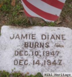 Jamie Diane Burns