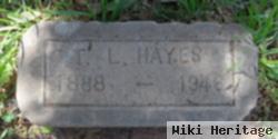 T. L. Hayes