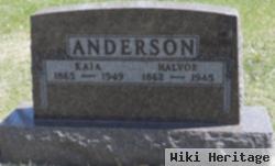 Halvor Anderson