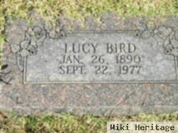 Lucy Bird