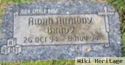 Aidan Anthony Brady