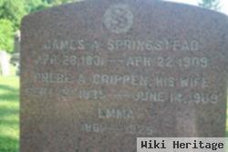 James M. Springstead