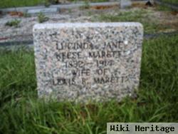 Lucinda Jane Keese Maret