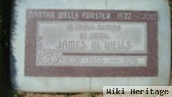 James`` W Wells