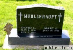 David L. Muhlenhaupt