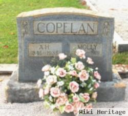 A. H. Copelan