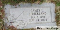 James L Strickland