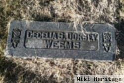 Cecelia S Dorsey Weems