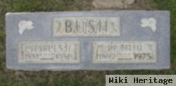 Ruth H Bush