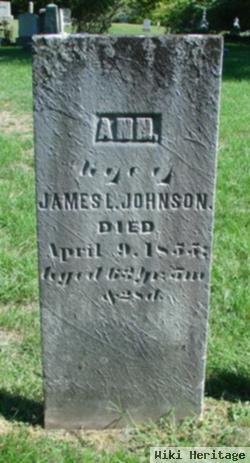 Ann Johnson