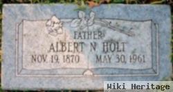 Albert Newton Holt