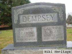 Andrew Seaton Dempsey