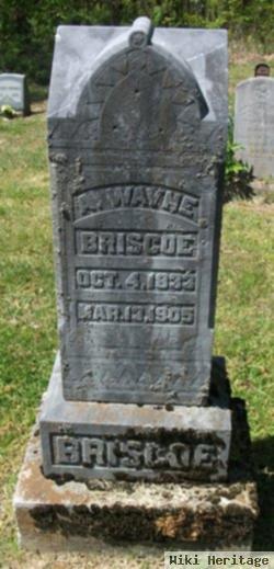 Anthony Wayne Briscoe