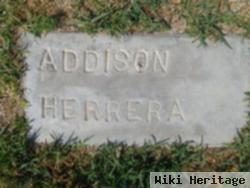Addison Rose Herrera