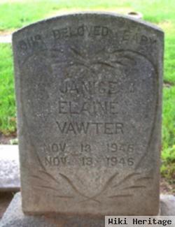 Janice Elaine Vawter