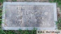 Yates Clifton Dellinger, Sr