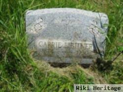 Carrie E. Bitner