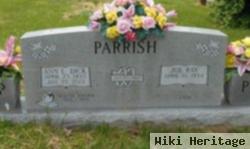 Ann L Dick Parrish