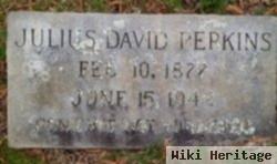 Julius David Perkins