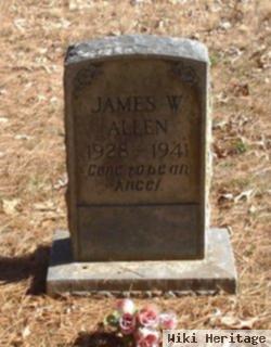 James W. Allen