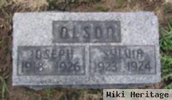 Joseph Clarence Olson