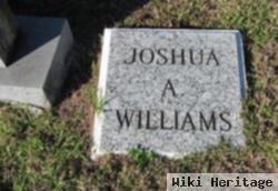 Joshua Alex Williams