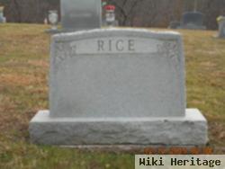 Dan Rice