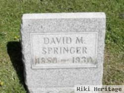 David Marshall Springer