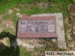 Walter Biddinger
