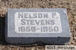 Nelson P Stevens