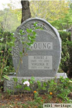 Robert J Young