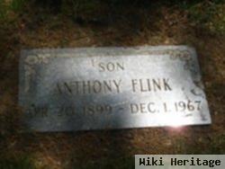 Anthony Flink