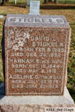 David Lafayette Stickels