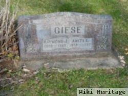 Raymond J Giese