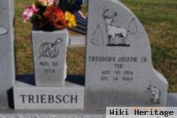 Theodore Joseph "ted" Triebsch, Jr