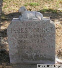 James T "teddy" Trout