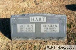 Lottie N Hart