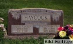 Louise Hamblin Haycock