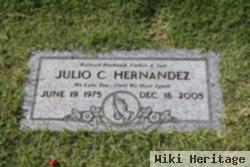 Julio C Hernandez